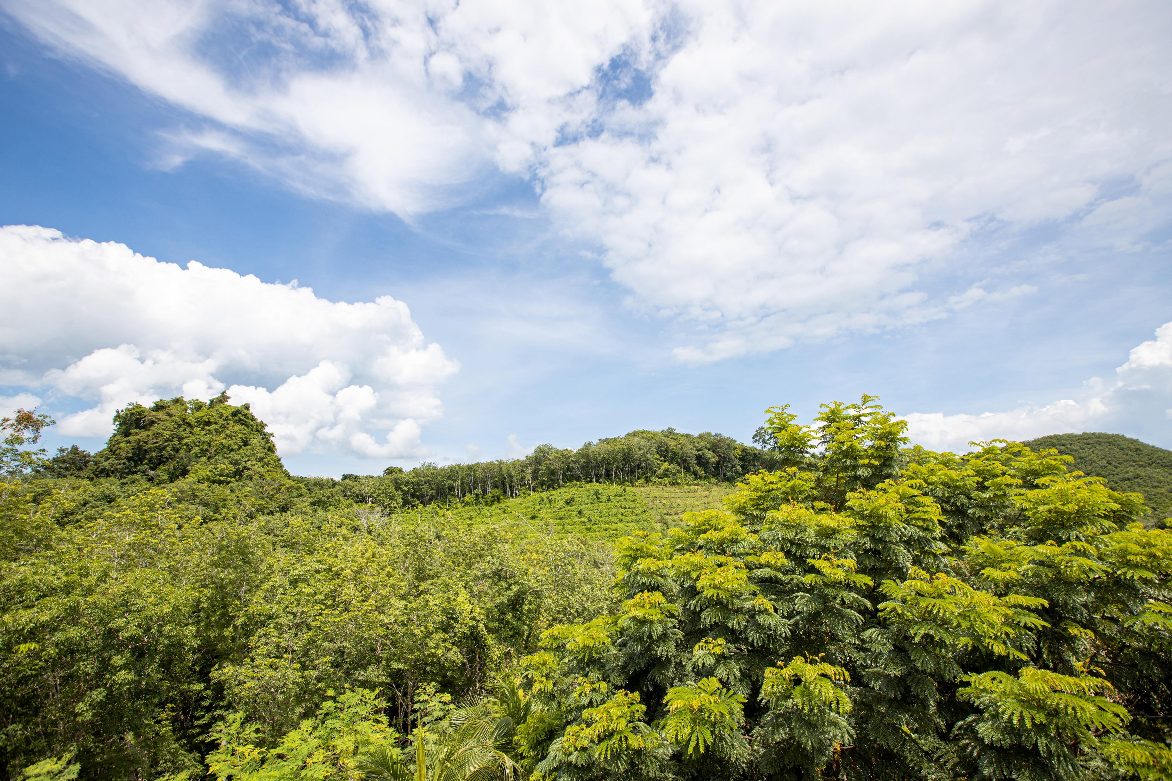 Samsam Yao Noi - Andaman Magic & Art Villas 阁遥岛 外观 照片